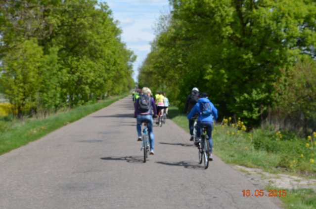 marsz g 2015 346 kopiowanie